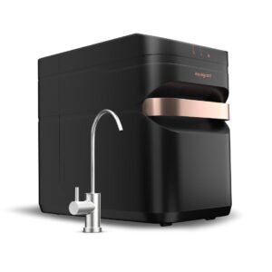 Aquaguard Designo NXT best aquaguard water purifier for home in India 2025