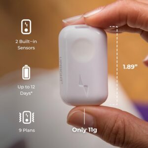 Best Smart Posture Corrector UK